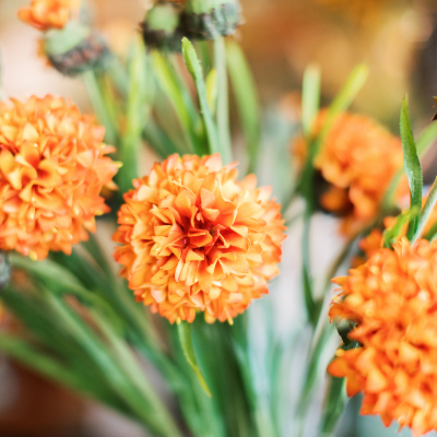 floralb7